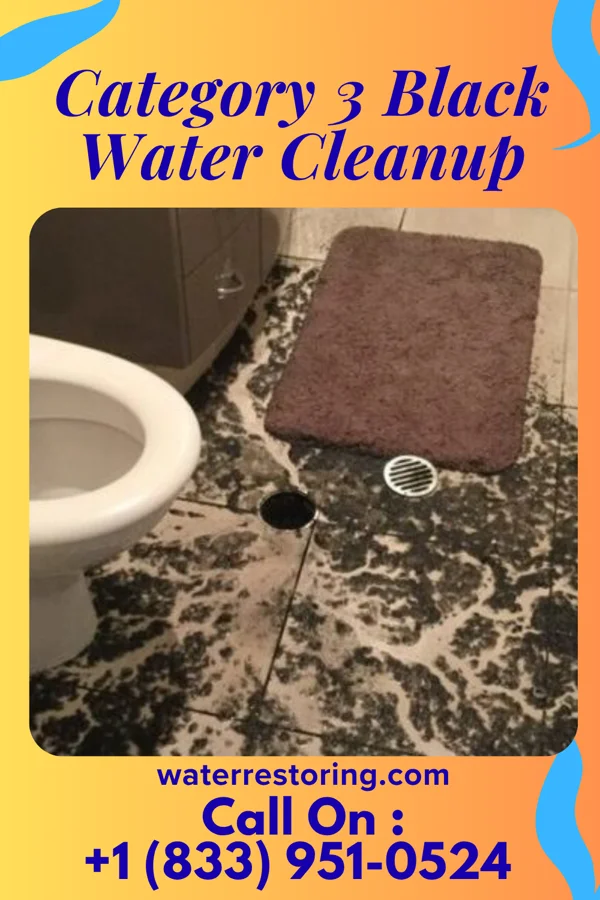 Category 3 Black Water Cleanup in Middleville, NY