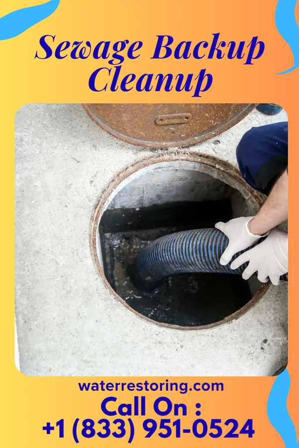 Sewage Backup Cleanup in Middleville, NY