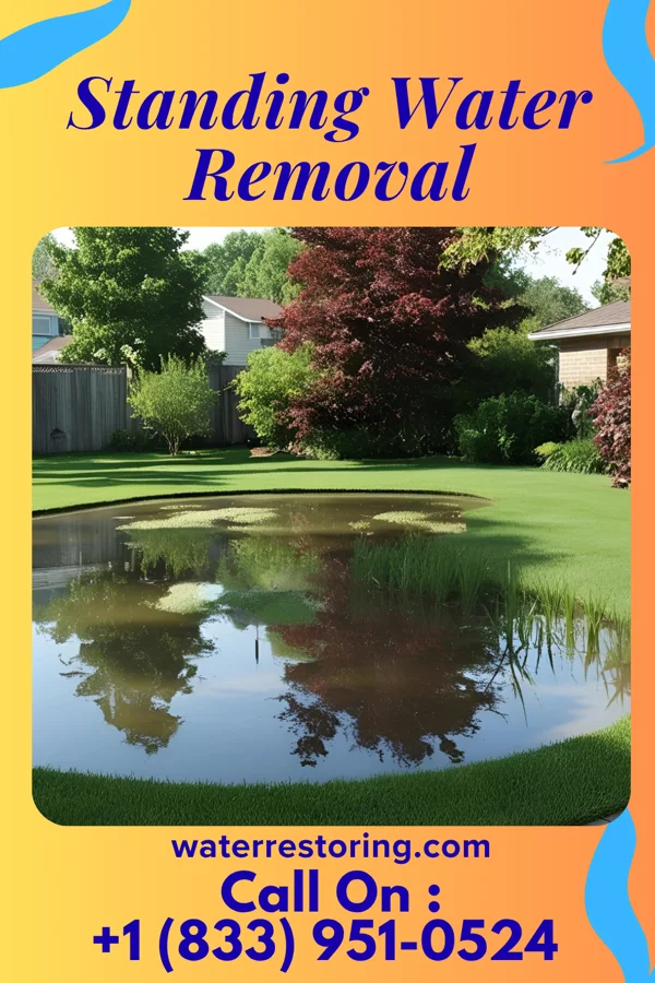 Standing Water Removal in Middleville, NY